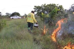 Intercâmbio de Conhecimentos sobre Manejo Integrado do Fogo no Jalapão