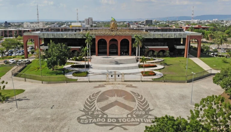 Tocantins Alcança 2ª Posição Nacional em Potencial de Mercado